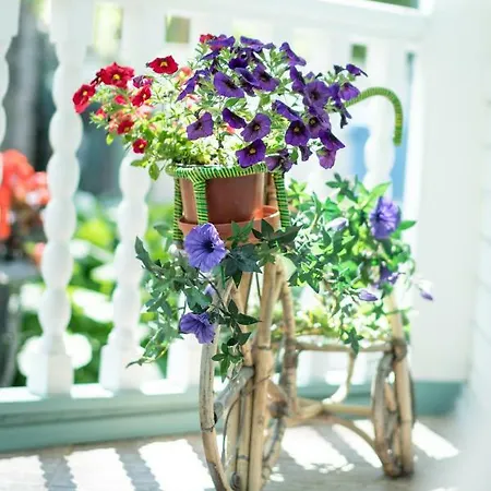 Parus Boutique